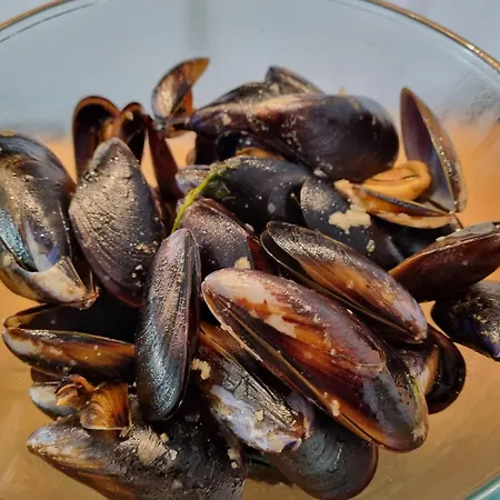 Chata Solar Alegria Oliveira de Frades