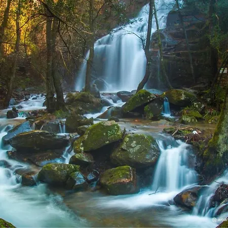 Chata Solar Alegria Oliveira de Frades