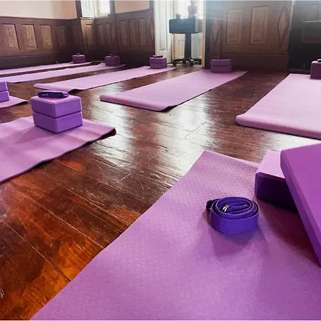 Solar Alegria Oliveira de Frades