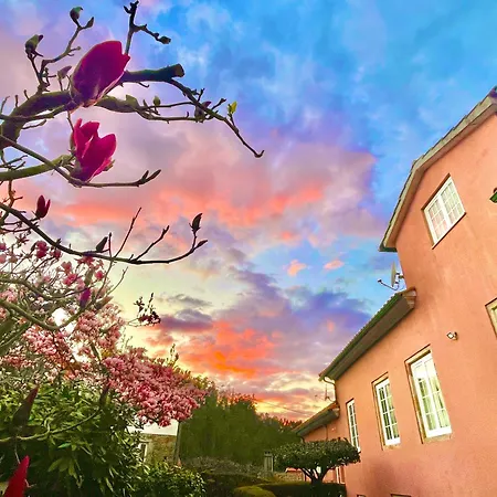 Solar Alegria Chata Oliveira de Frades