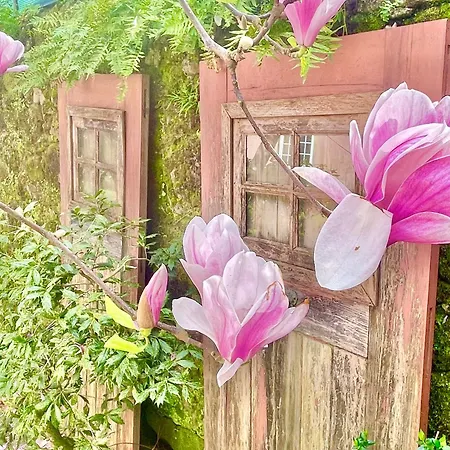 Solar Alegria * Oliveira de Frades