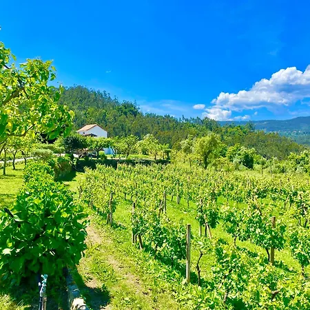 Chata Solar Alegria *