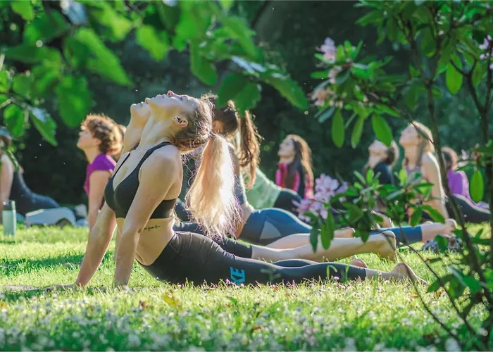 אכסניה Solar Alegria *