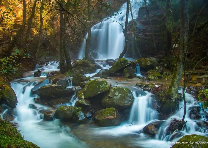 אכסניה Solar Alegria Oliveira de Frades