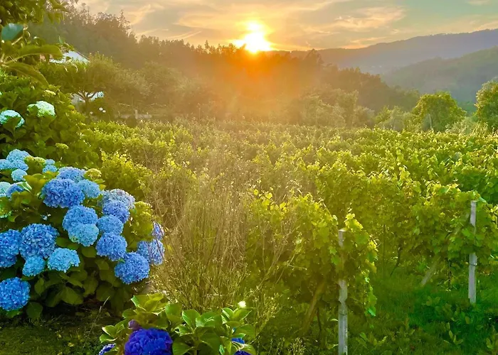 Solar Alegria אכסניה