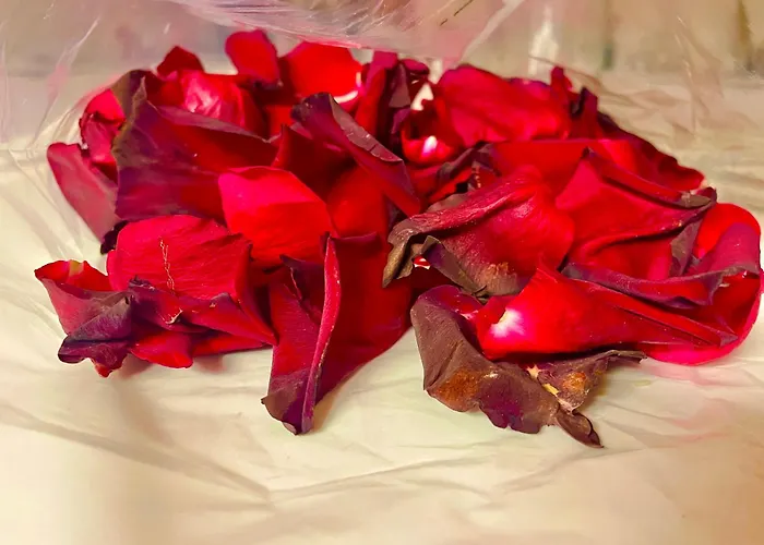 Solar Alegria אכסניה