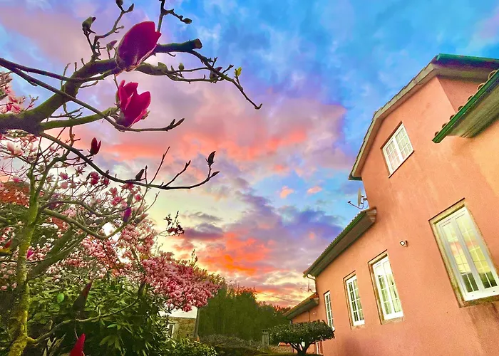 Solar Alegria אכסניה Oliveira de Frades