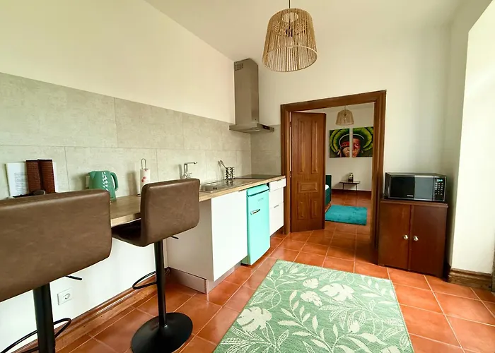 Solar Alegria אכסניה Oliveira de Frades